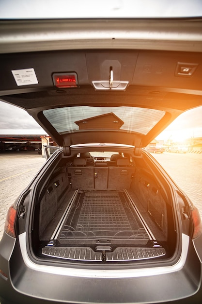 Clean open empty trunk in the car