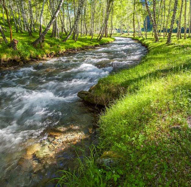 Фото Чистая река течет в лесу