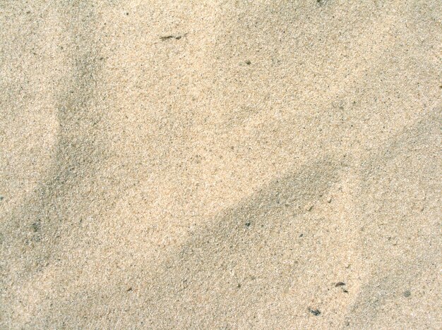 写真 ビーチの清潔な砂を背景にトップビューのクローズアップ