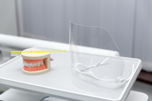 Модель челюсти чистых зубов и желтая зубная щетка на сером фоне