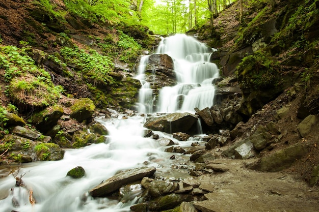 Clean waterfall with stones is falling down on the background of wild nature with green trees.