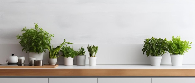 clean white kitchen saw and wanted to cook