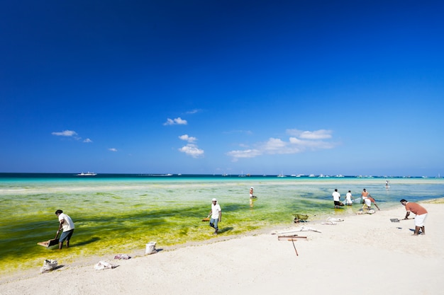 Cleaning the beach