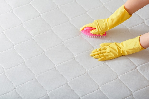 Cleaning company Employee hand cleans surface of mattress on bed with brush. Cleaning disinfection surfaces. Hand in glove do Mattress chemical cleaning. copy space.