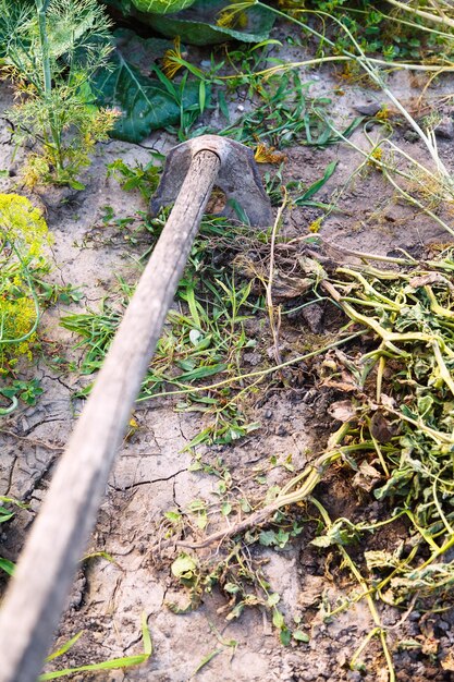 Cleaning garden from weed by chopper