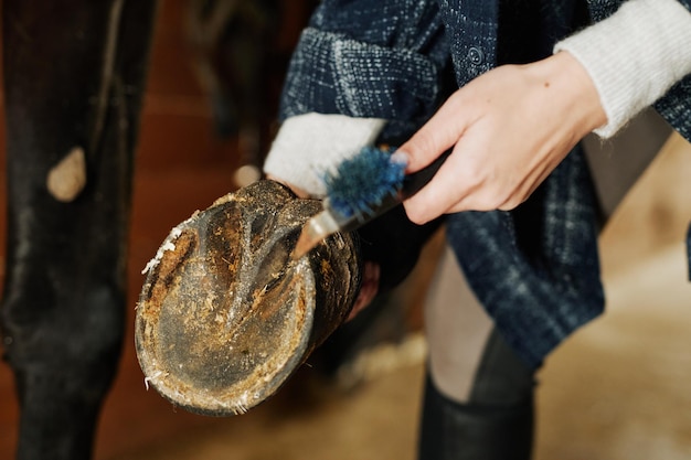 Photo cleaning horse hooves