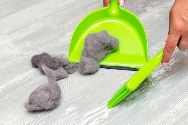 Cleaning pet hair, fur with hands, mop, brush and dustpan