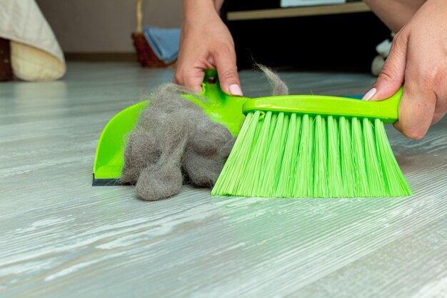 Cleaning pet hair, fur with hands, mop, brush and dustpan