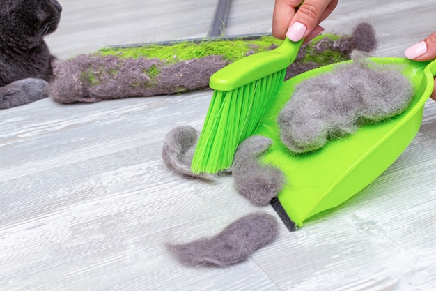 Cleaning pet hair, fur with hands, mop, brush and dustpan