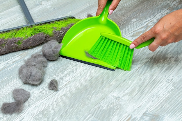 Cleaning pet hair, fur with hands, mop, brush and dustpan