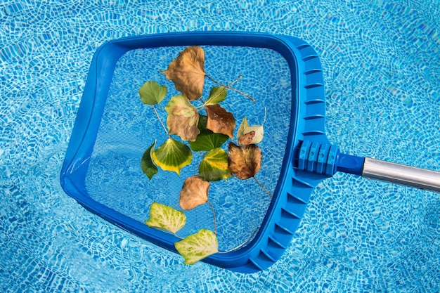 Cleaning the Pool