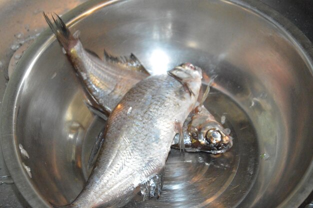 Cleaning river fish after fishing from the scales