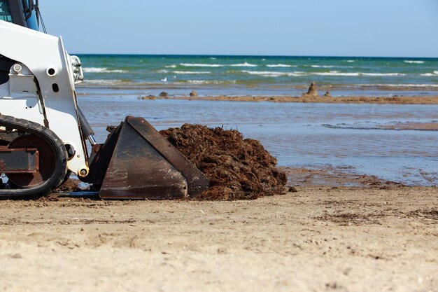 Foto pulizia della riva del mare