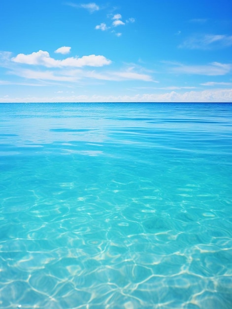 The clear blue water of the ocean is a beautiful place to be