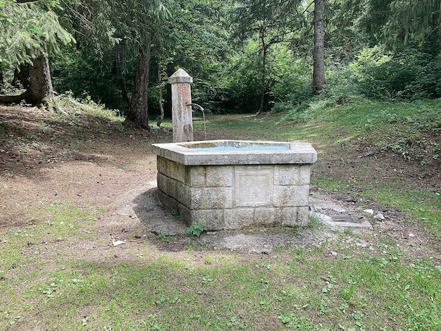 Photo clear drinking water fountain in the woods