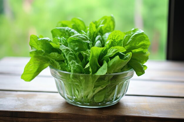 A clear glass bowl of green leafy veggies known for hormonal health