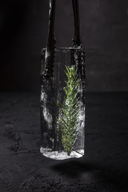 A clear ice cube with fir inside for a highball glass in bartender ice tongs, dark backdrop