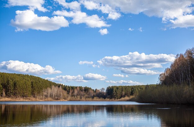 A clear lake in a green forest blue sky with white clouds over a lake