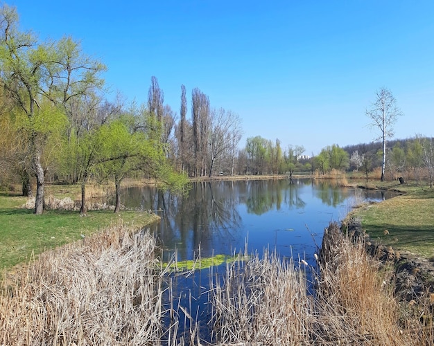 Clear lake in the spring and blue sky