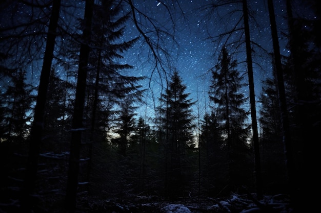 A clear night sky filled with twinkling stars over a dark forest