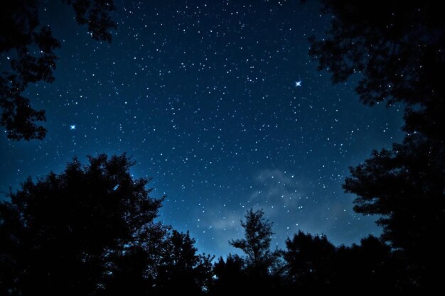 a clear night sky with a star filled sky and trees