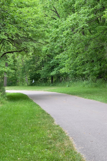 Photo clear path outdoors in nature on spring day