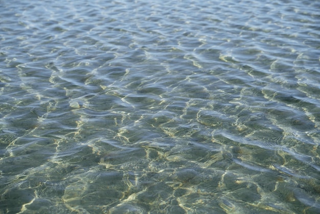 Clear and pure water in lake during summer water refraction\
reflection and caustics