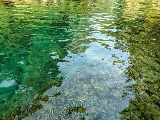 Foto la limpida superficie dell'acqua del fiume