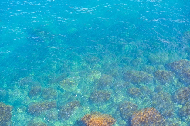 澄んだ海の紺碧の水のクローズアップ