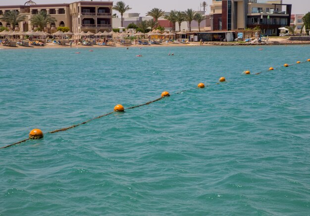 A clear sea water of the red sea