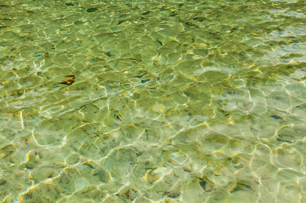 澄んだ海の水面