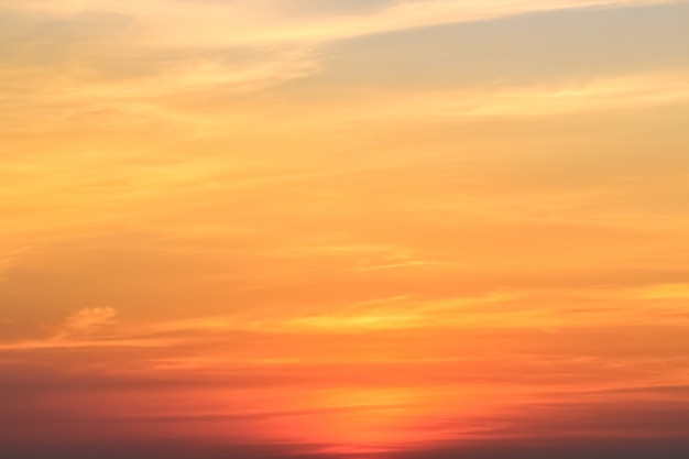 曇り空を背景とする晴天