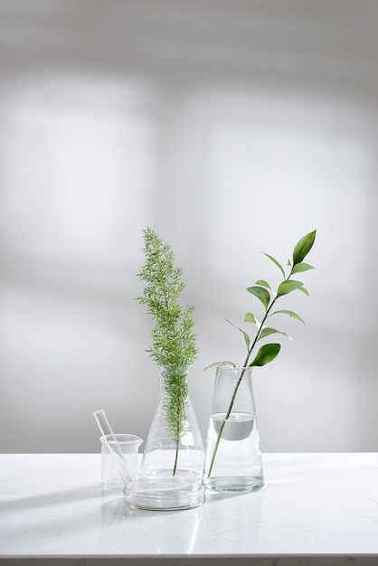 Clear water in glass flask and vial with natural green leave in biotechnology science laboratory background