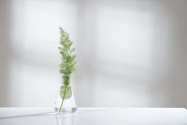 Clear water in glass flask and vial with natural green leave in biotechnology science laboratory background