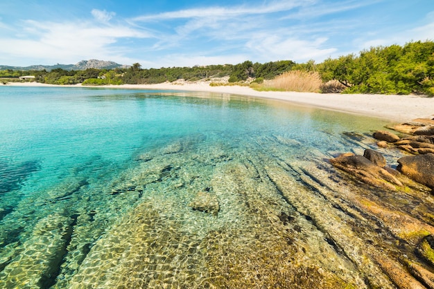 Clear water in La Celvia beach Sardinia