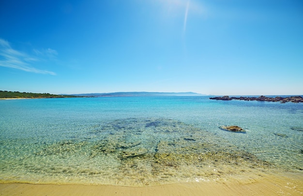 Clear water in Le Bombarde beach under a shining sun Sardinia