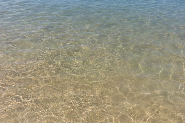 晴れた水の砂浜で日光を浴びる