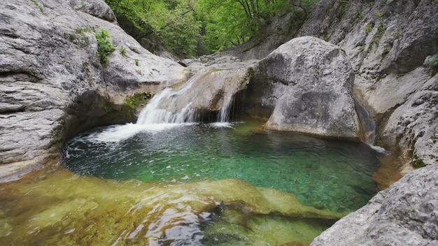 Clearwater lake in forest