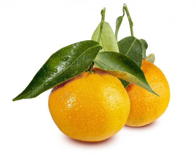 Clementinas, clemenvillas, satsuma, octubrina