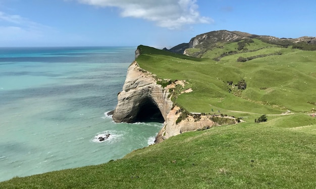 Scogliera e grotta sulla costa a nord dell'isola del sud in nuova zelanda