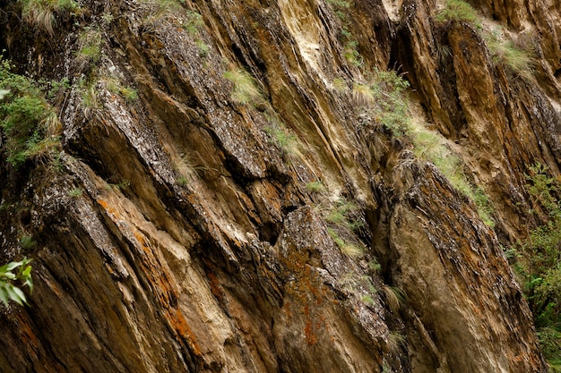 Scogliera di pietra arenaria gialla incrinata con erba verde