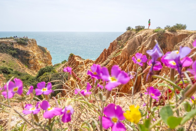 사진 절벽 과 자연 praia da marinha 알가르베 포르투갈