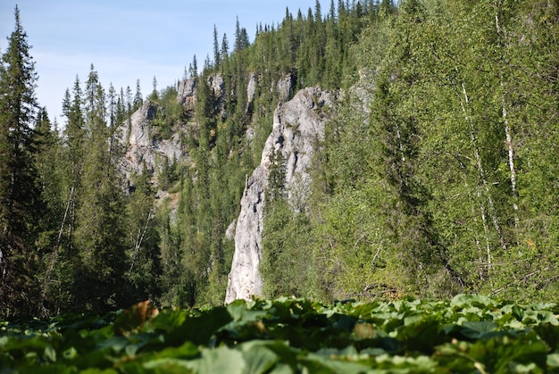 Cliffs on the banks of river