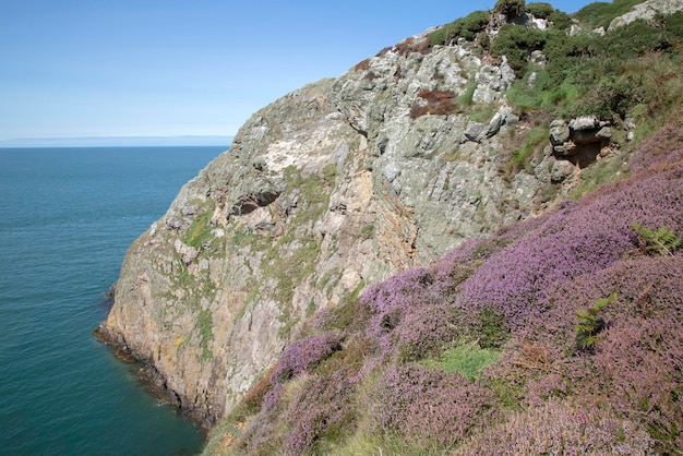 Llanbadrig Cemaes, Anglesey, Wales, UK의 절벽과 바다