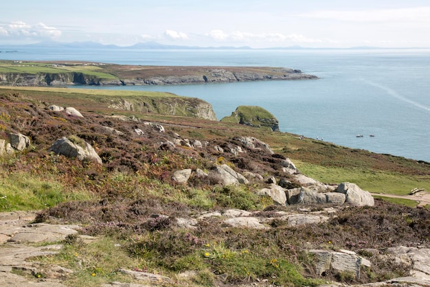 Cliffs at South Stack, Holy Island, Anglesey, Wales, UK