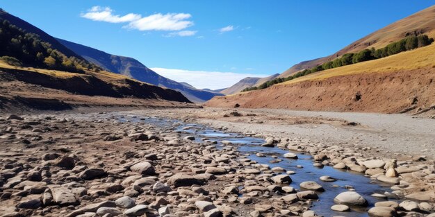 Photo climate change global warming dry riverbed a drought's signature nature's transient beauty the