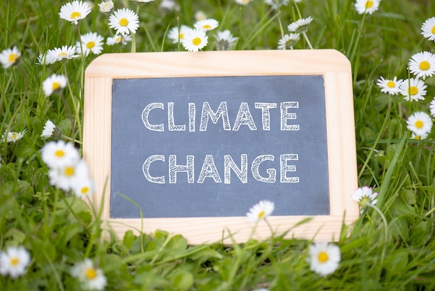 Изменение климата стоит на доске, луг с цветами, обсуждение окружающей среды, глобальное потепление