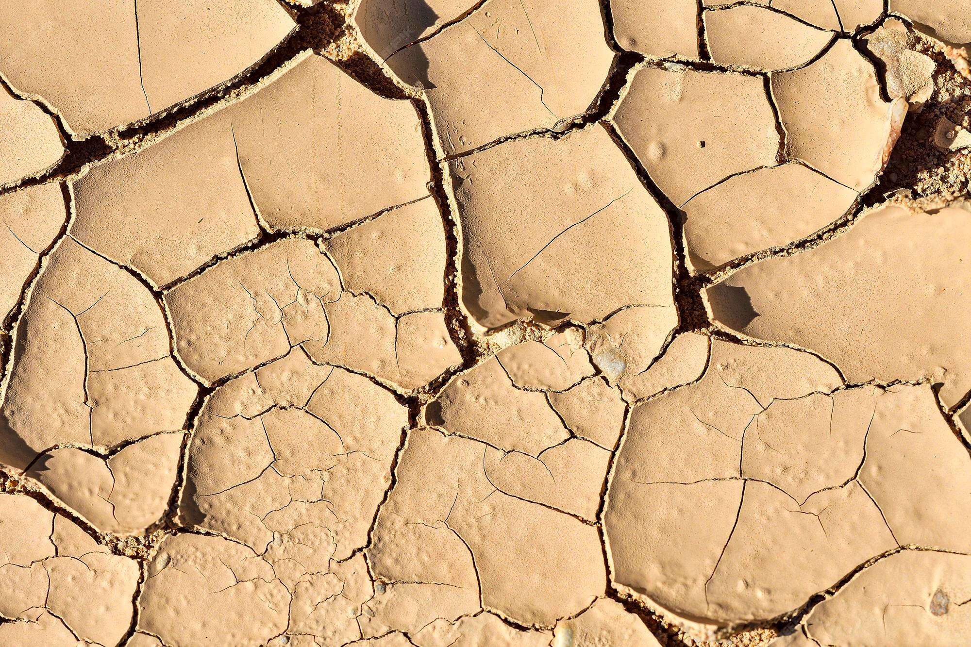 Premium Photo | Climate change and its consequences on the land