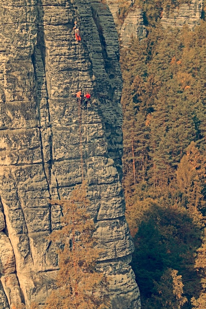 Climber on a surface of the mountain on the forest background