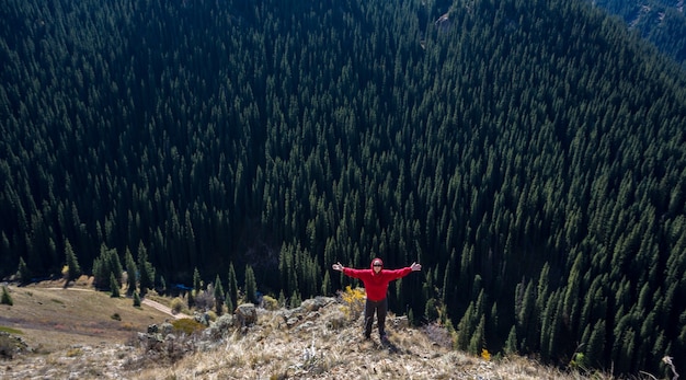 Climber with a backpack, trekking poles and snowshoes is on the snow in the winter mountains on the background of spruce forest.